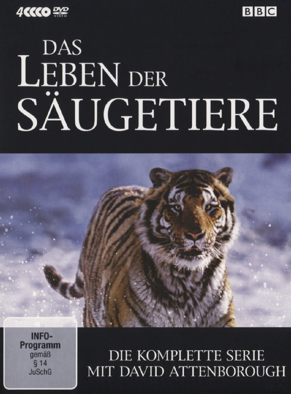 lightbox image