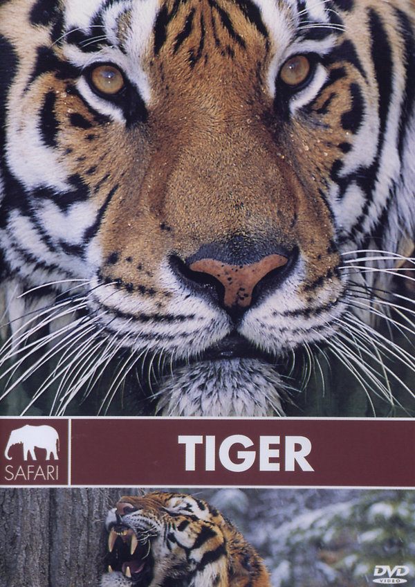 lightbox image