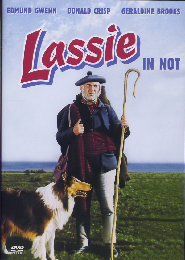 lightbox image
