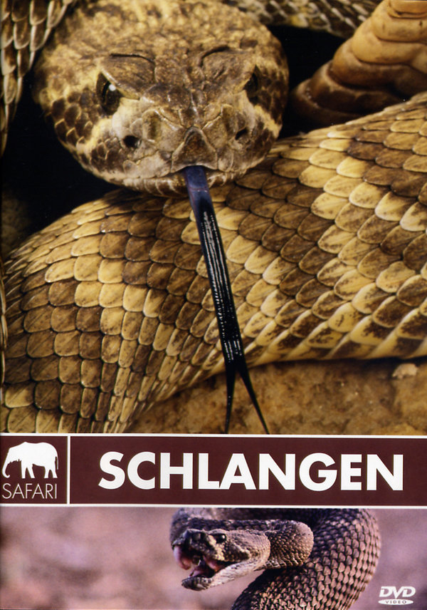 lightbox image