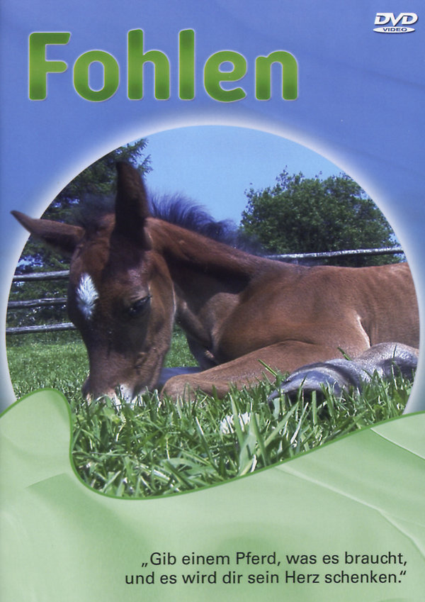lightbox image
