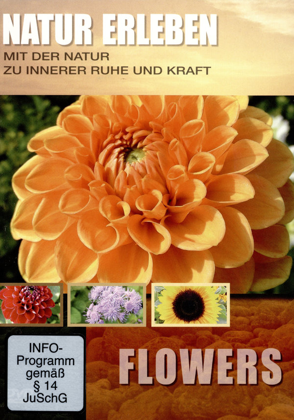 lightbox image