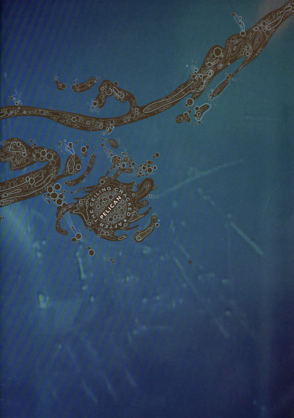 lightbox image