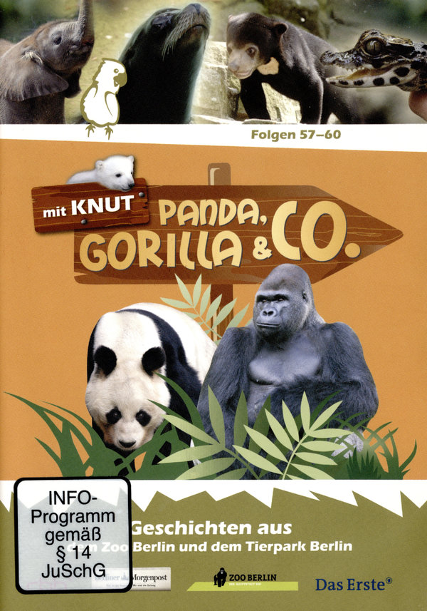 lightbox image