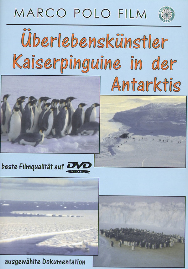 lightbox image