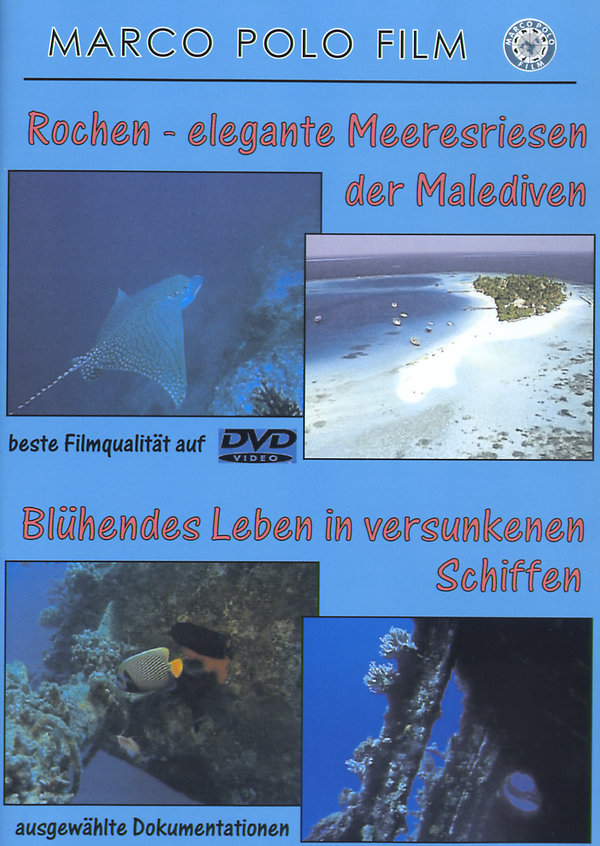 lightbox image