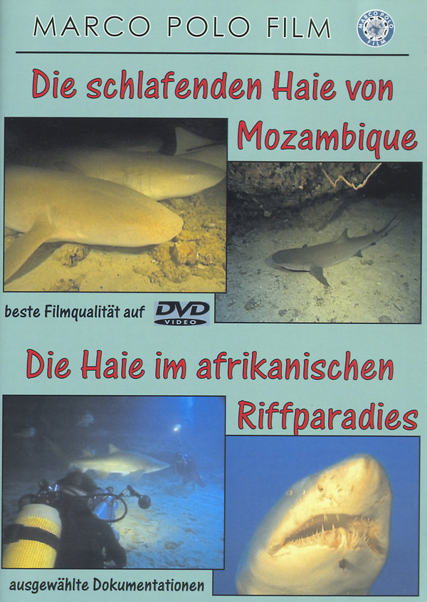 lightbox image