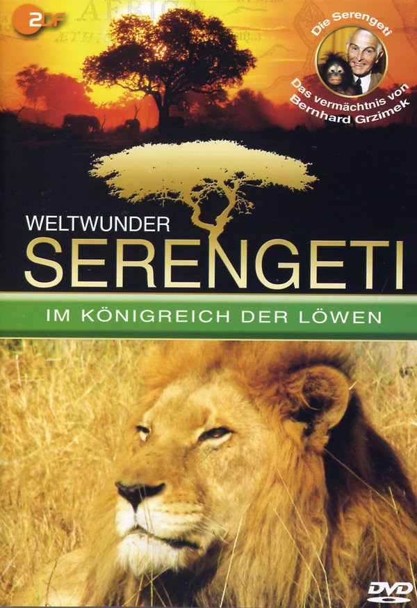 lightbox image