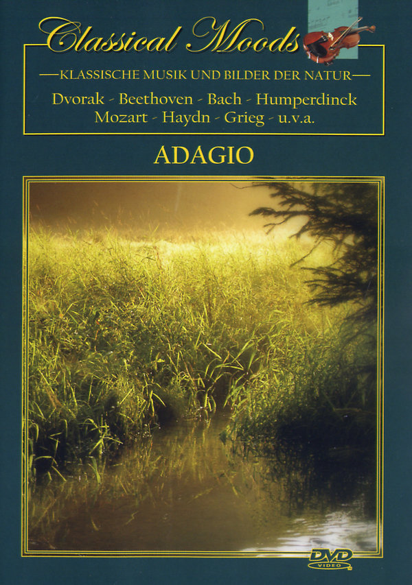 lightbox image