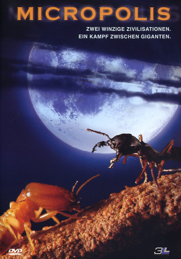 lightbox image