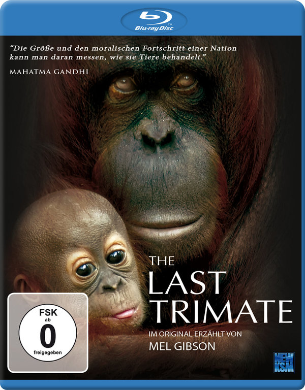 lightbox image