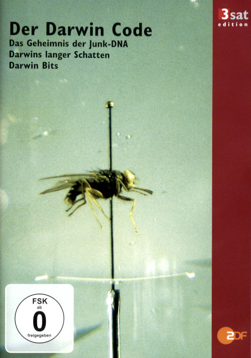 lightbox image