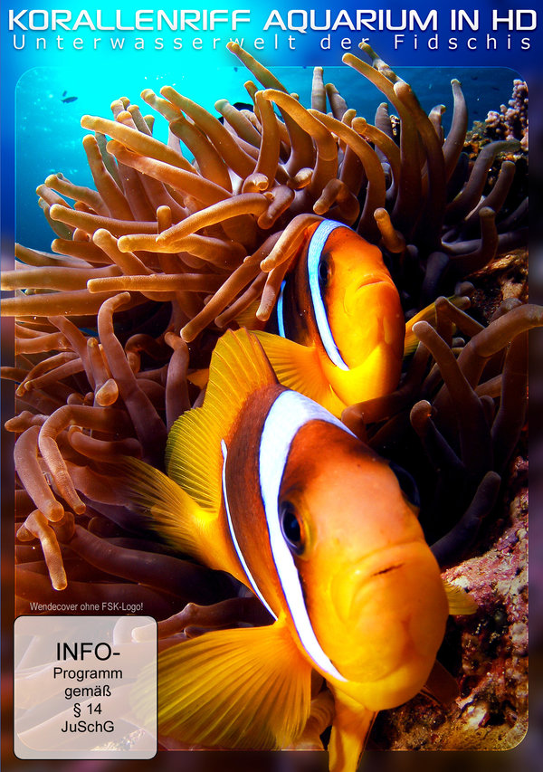 lightbox image