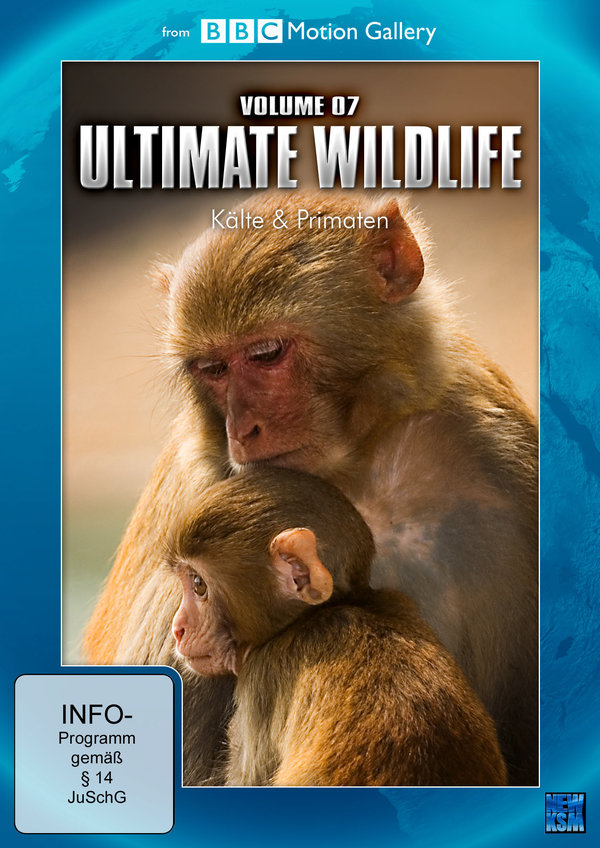 lightbox image