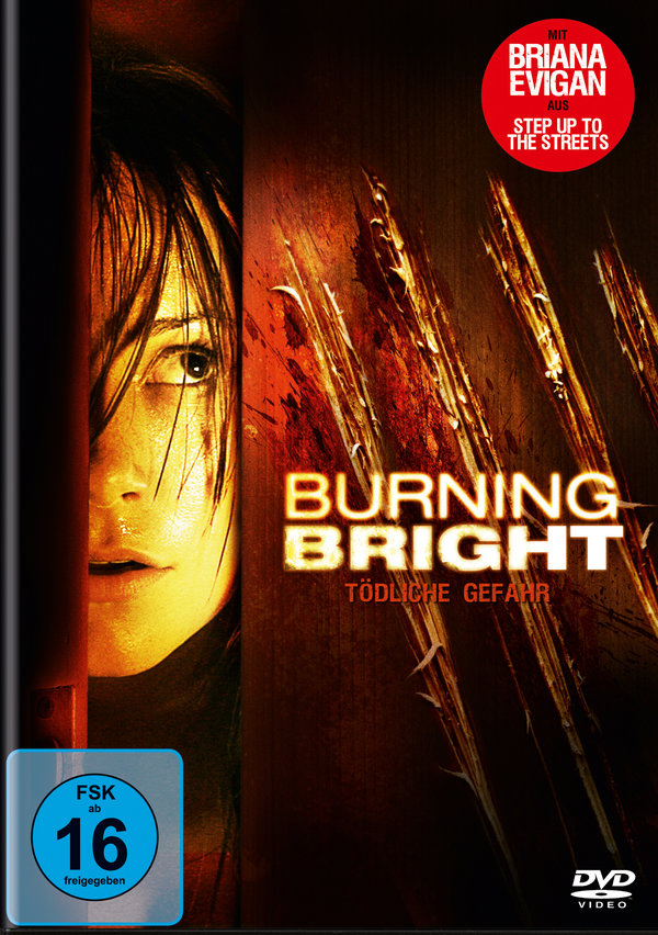lightbox image