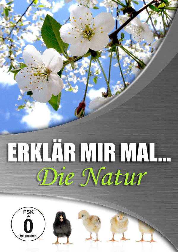lightbox image