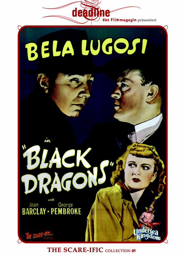lightbox image