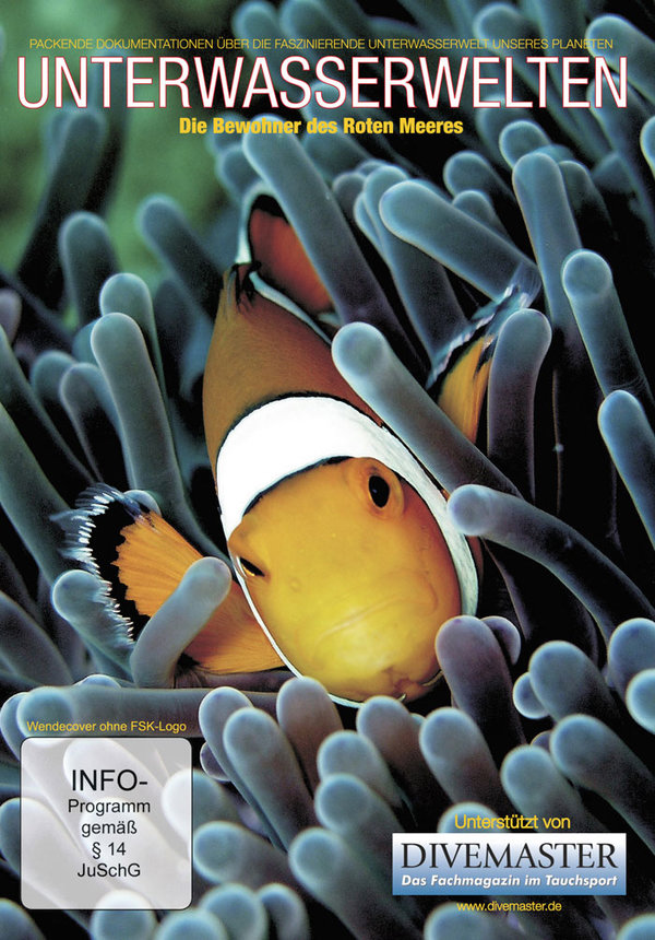 lightbox image