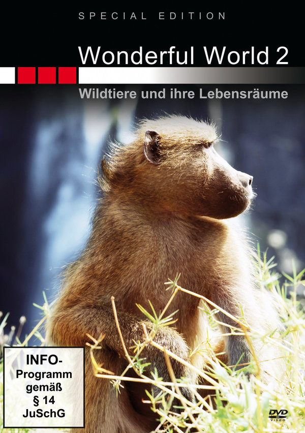 lightbox image
