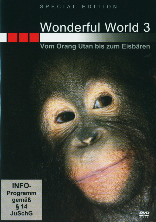 lightbox image