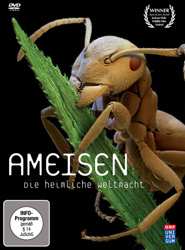 lightbox image