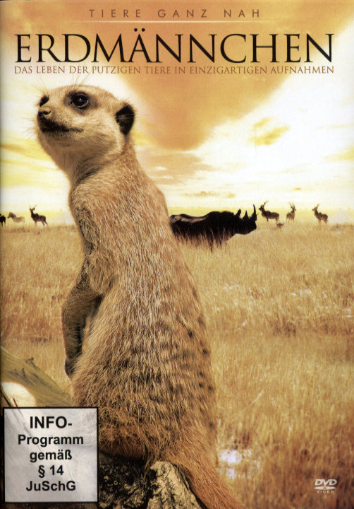 lightbox image