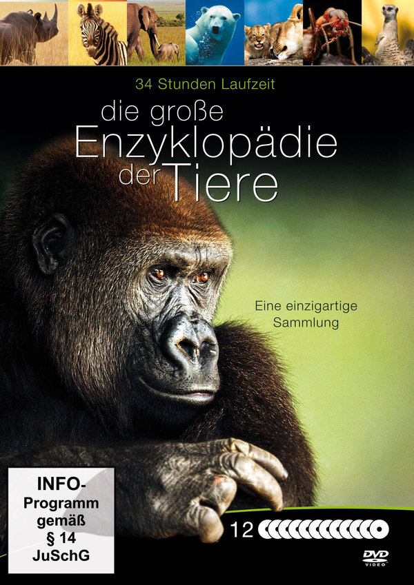 lightbox image