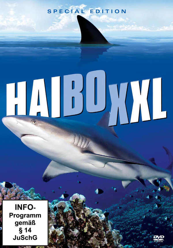 lightbox image