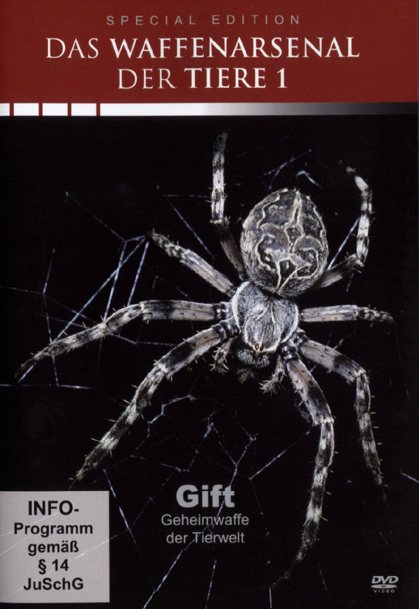 lightbox image