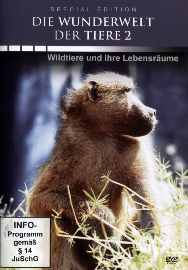 lightbox image