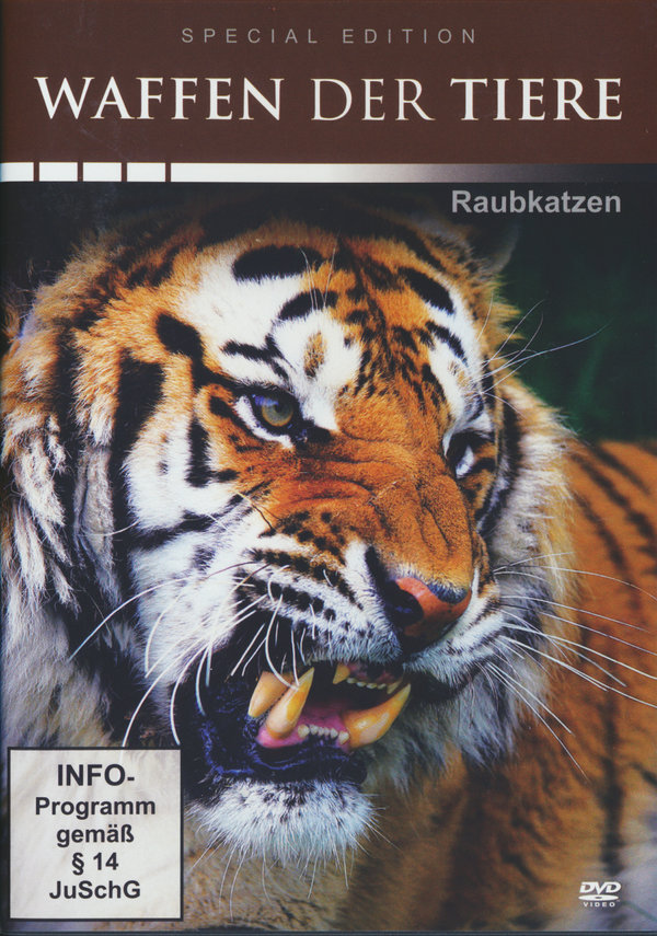 lightbox image