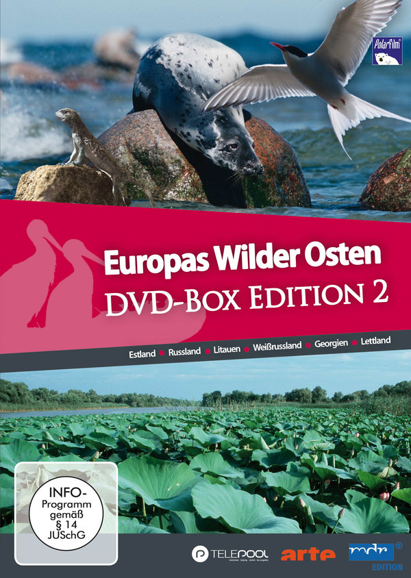 lightbox image