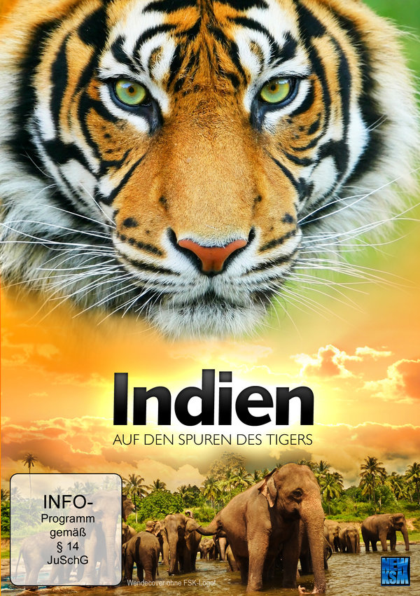 lightbox image