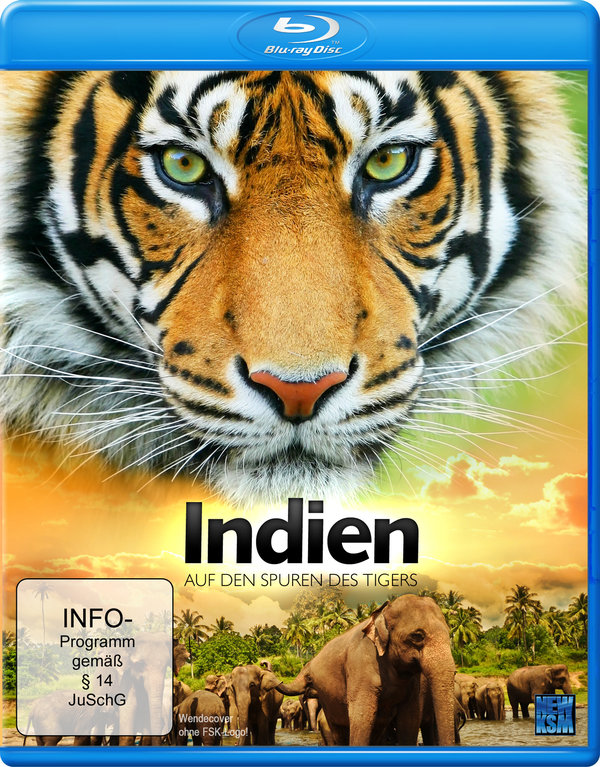lightbox image