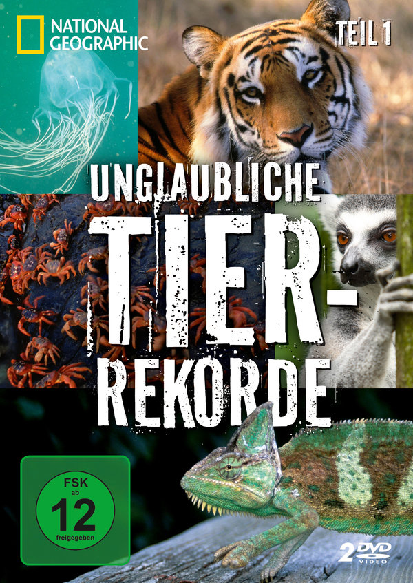 lightbox image