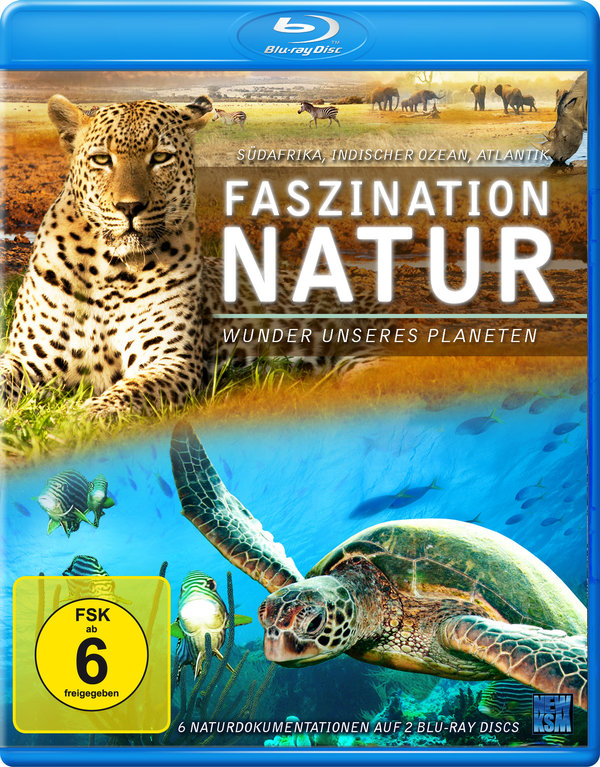 lightbox image