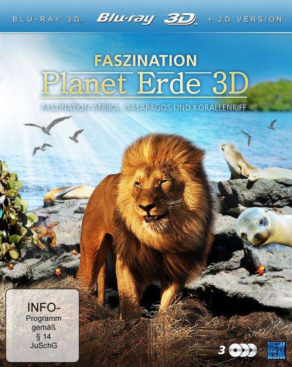 lightbox image