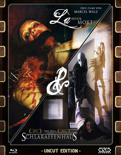 lightbox image