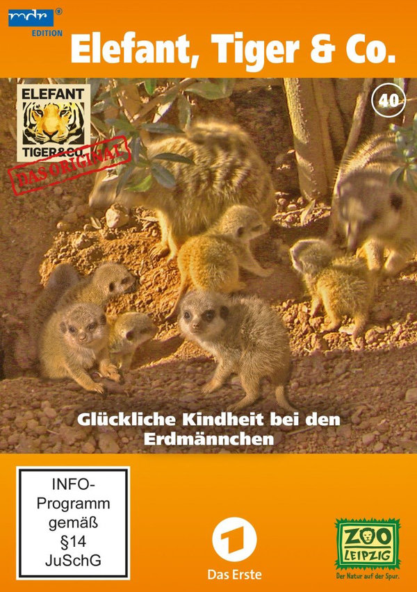 lightbox image