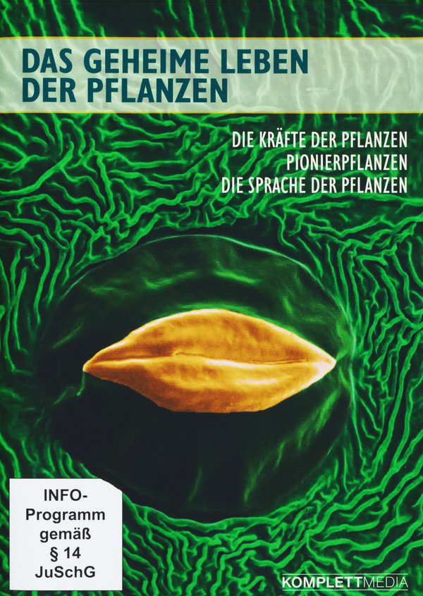 lightbox image