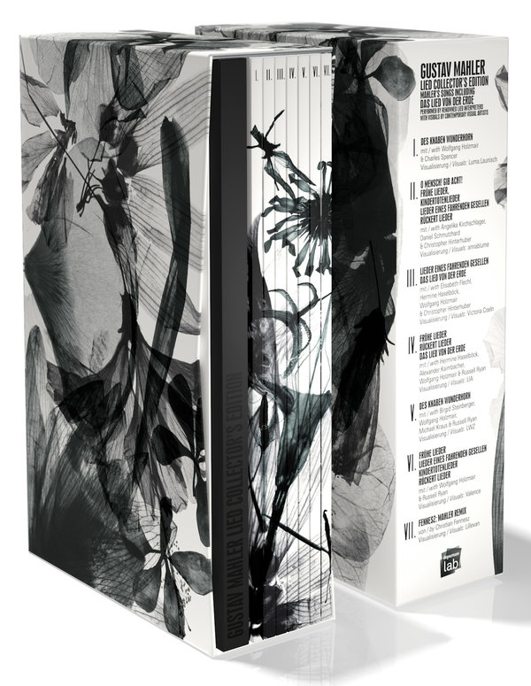 lightbox image