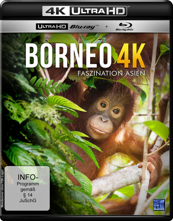lightbox image