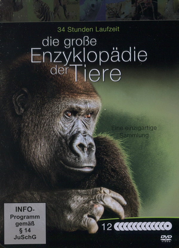 lightbox image