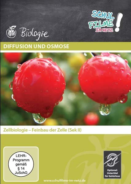 lightbox image