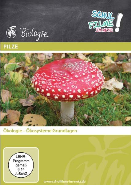 lightbox image