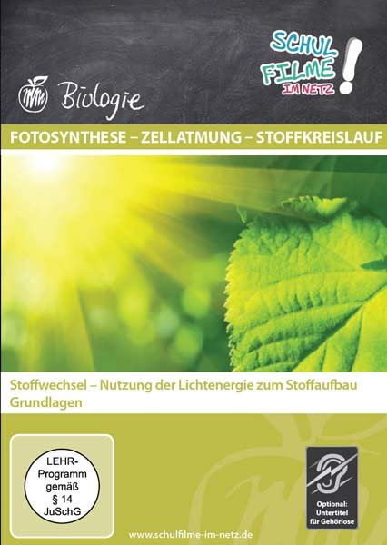 lightbox image