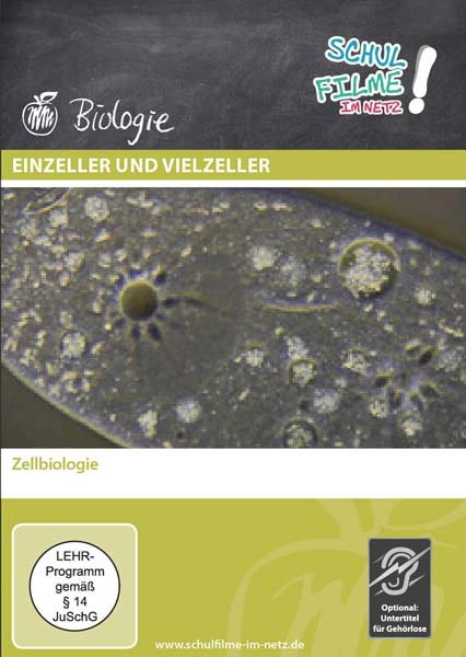 lightbox image