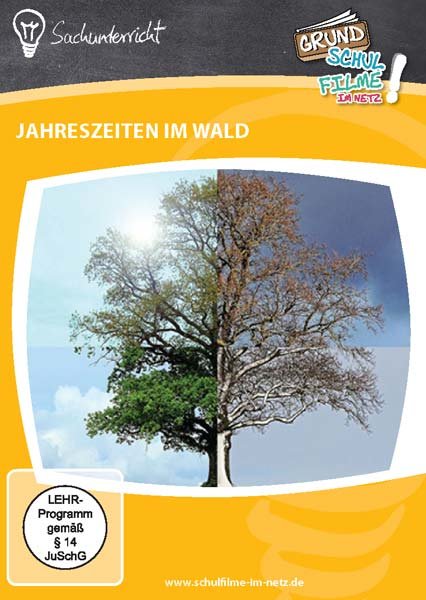 lightbox image