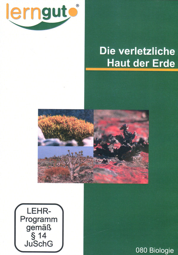 lightbox image