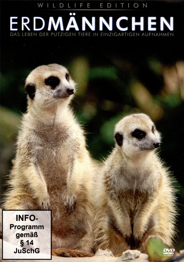 lightbox image
